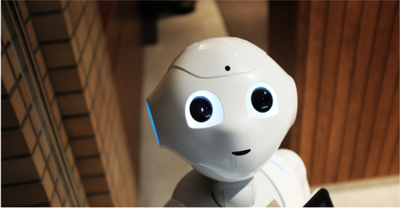 Diam amet non placerat risus magna non volutpat.